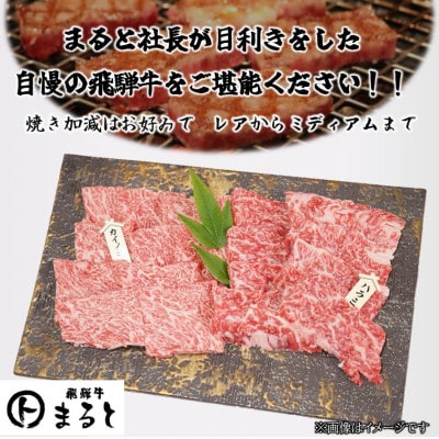 【飛騨牛】お勧め希少部位2種セット　250g×2【配送不可地域：離島】