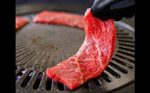 養老ハーブ牛　モモまたは肩　焼肉用　500g【配送不可地域：離島】