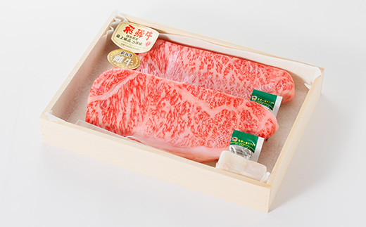 【最飛び雌牛】飛騨牛A5等級サーロインステーキ　250g×2枚【配送不可地域：離島】