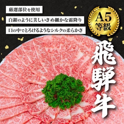 【毎月定期便】【訳あり】飛騨牛切り落し焼肉用600g全3回【配送不可地域：離島】