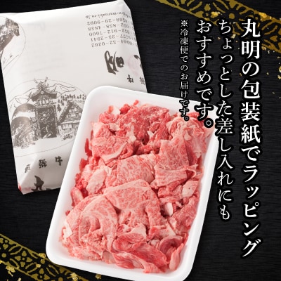 飛騨牛　コマ切れ(切り落とし)　700g【配送不可地域：離島・北海道・沖縄県】