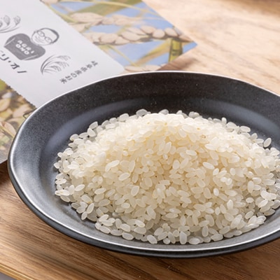 令和7年産 アグリ・オノのこだわり米　ハツシモ　10kg(5kg×2)