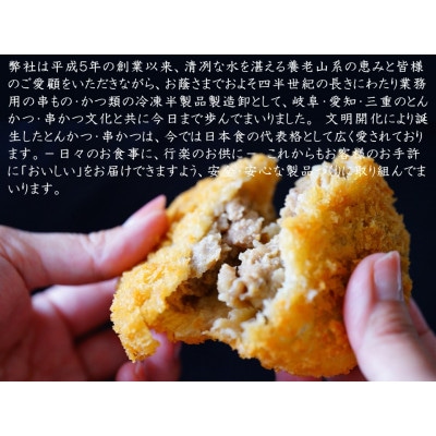 飛騨牛・飛騨豚使用　揚げ物ファミリーセット【配送不可地域：離島】