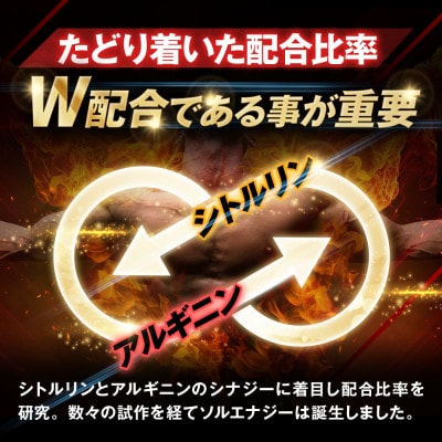 シトルリンサプリメント アルギニン 亜鉛 マカ配合 Mr.GINO ソルエナジー 3袋(3ヶ月分)