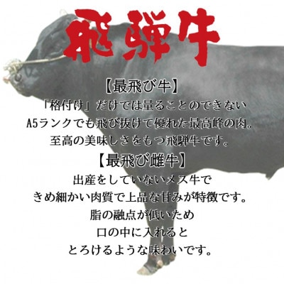 【最飛び雌牛】飛騨牛A5等級切り落とし　300g【配送不可地域：離島】