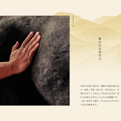 飛騨牛 サーロインブロック 5kg【配送不可地域：離島】