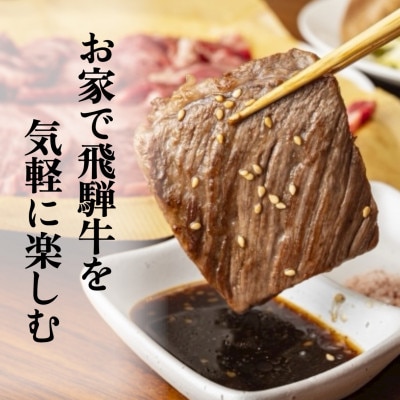 【訳あり】飛騨牛切り落し焼肉用1.2kg小分け(600g×2p)【配送不可地域：離島】