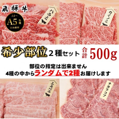 【飛騨牛】お勧め希少部位2種セット　250g×2【配送不可地域：離島】