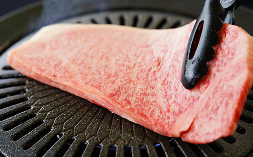 飛騨牛ロースステーキ用 200g×2枚【配送不可地域：離島】