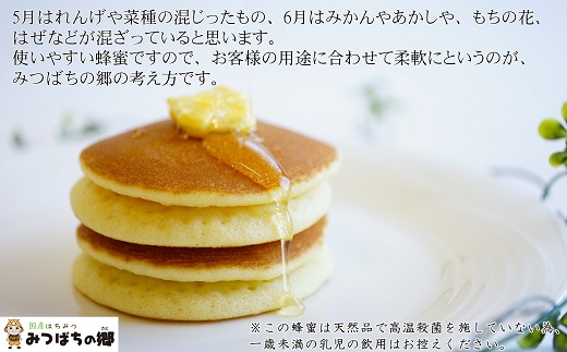 岐阜県産 やさしいはちみつ250g×3本