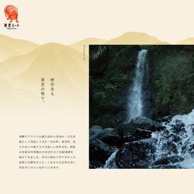 【毎月定期便】月替わりで色々な飛騨牛を楽しめる全12回【配送不可地域：離島】