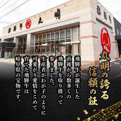 飛騨牛5等級　切り落とし用途いろいろ　500g【配送不可地域：離島・北海道・沖縄県】