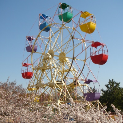 養老ランド ランチ付き入場券　入場券大人子供共通1枚　ランチ券大人1名　乗り物券(1,100円分)