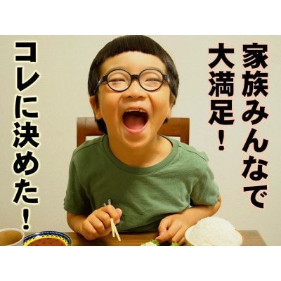 飛騨牛・飛騨豚使用　揚げ物ファミリーセット【配送不可地域：離島】