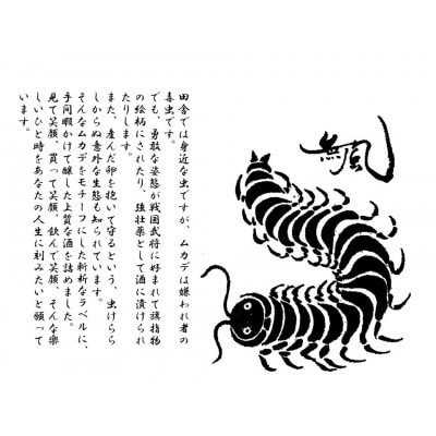 無風純米/無風山田錦50　1800ml　飲み比べセット