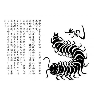 無風純米/無風山田錦50　720ml　飲み比べセット