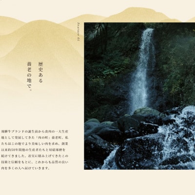 飛騨牛　切り落し　280g　訳あり【配送不可地域：離島】