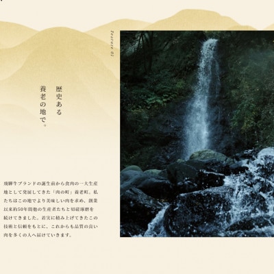 飛騨牛 モモブロック 300g【配送不可地域：離島】