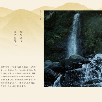 飛騨牛 モモブロック 300g×2個【配送不可地域：離島】