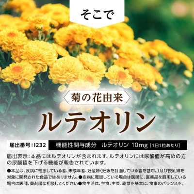 ルテオリンサプリメント キニシナイトGOLD尿酸値ケア 3袋(3ヶ月分)