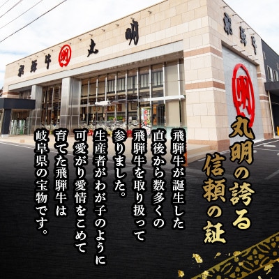 飛騨牛5等級　ヒレ　約150g×2枚【配送不可地域：離島】