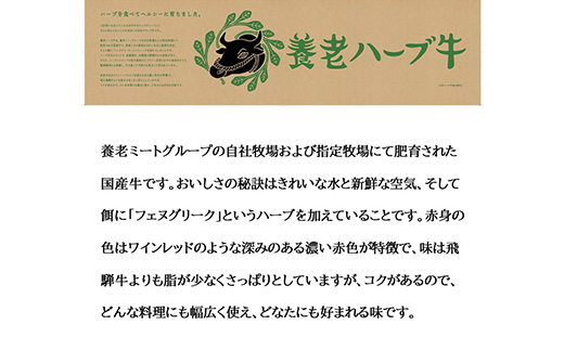 養老ハーブ牛　ロースまたは肩ロース　焼肉用　500g【配送不可地域：離島】