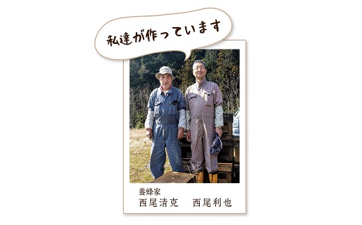 岐阜県産 やさしいはちみつ250g×3本