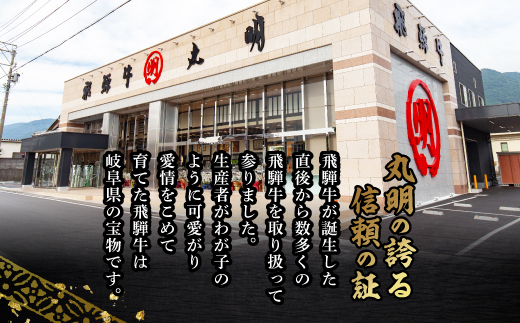 【最飛び雌牛】飛騨牛A5等級サーロインステーキ　250g×3枚【配送不可地域：離島】