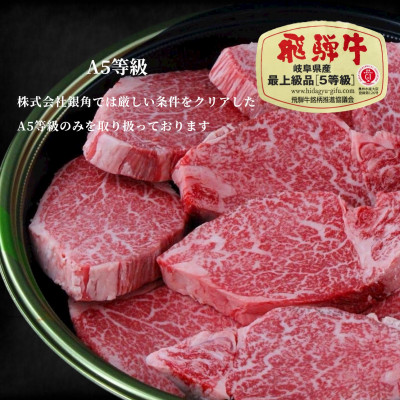 【飛騨牛】白銀焼肉用500g【配送不可地域：離島】