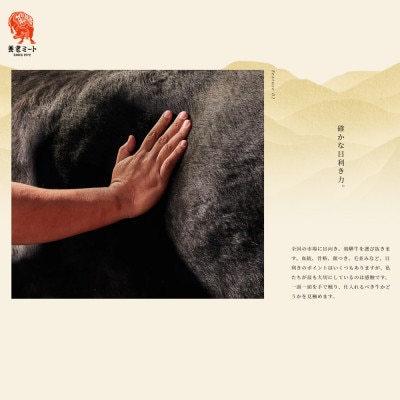 【毎月定期便】月替わりで色々な飛騨牛を楽しめる全3回【配送不可地域：離島】