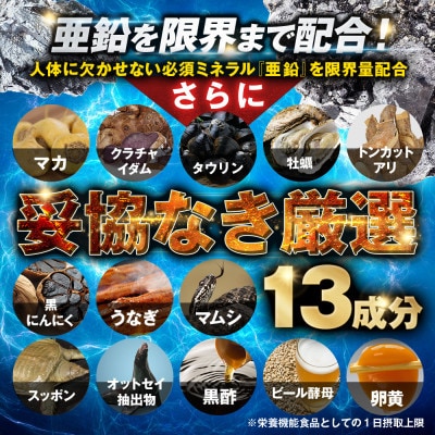 【毎月定期便】シトルリンサプリアルギニン亜鉛マカ配合Mr.GINOソルエナジー30日180粒全4回