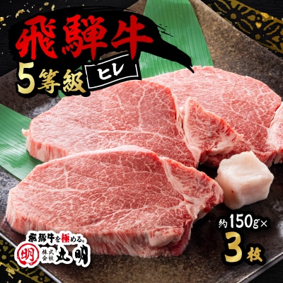 飛騨牛5等級　ヒレ　約150g×3枚【配送不可地域：離島】