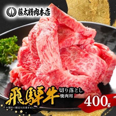 【飛騨牛】切り落し焼肉用【400g/岐阜県産】【配送不可地域：離島】