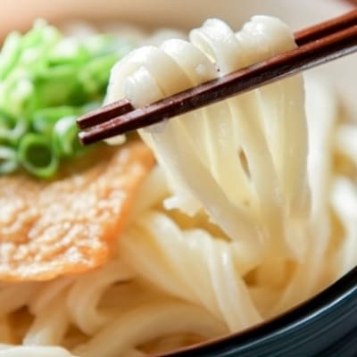 【糖質オフ 50%】低糖質麺 うどん 2700g(約27人前)