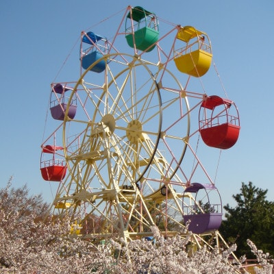 養老ランド 入場券　大人子供共通1枚　乗り物券(2,200円分)セット　養老町　遊園地