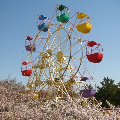 養老ランド 入場券　大人子供共通4枚　乗り物券(3,300円分)セット　養老町　遊園地