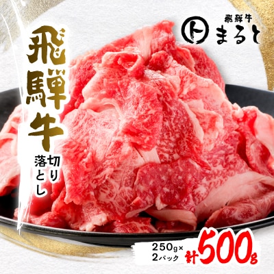 【飛騨牛】　切り落とし　500g入り(250g×2)【配送不可地域：離島】