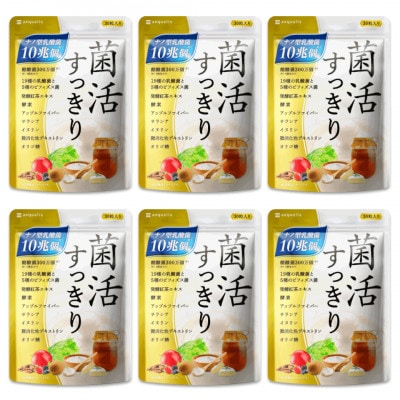 乳酸菌サプリメント ナノ型乳酸菌10兆個＆ビフィズス菌配合 菌活すっきり 6袋(6ヶ月分)