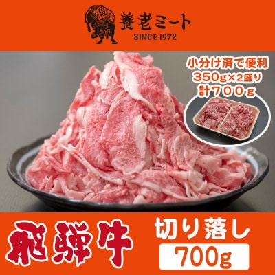 飛騨牛　切り落し　700g　訳あり(350g×2盛りで小分け済)【配送不可地域：離島】