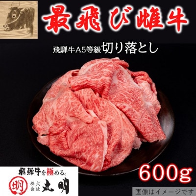 【最飛び雌牛】飛騨牛A5等級切り落とし　600g【配送不可地域：離島】