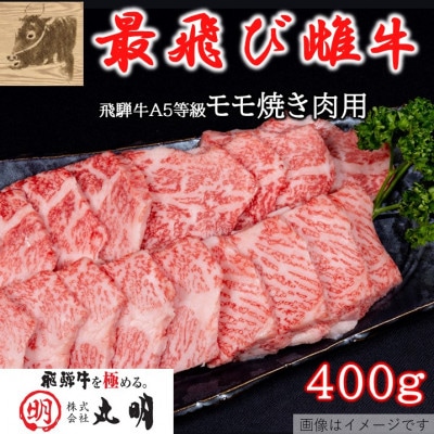 【最飛び雌牛】飛騨牛A5等級モモ焼き肉用　400g【配送不可地域：離島】