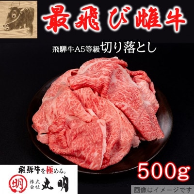 【最飛び雌牛】飛騨牛A5等級切り落とし　500g【配送不可地域：離島】