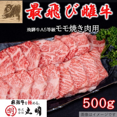 【最飛び雌牛】飛騨牛A5等級モモ焼き肉用　500g【配送不可地域：離島】