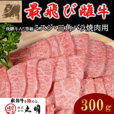 【最飛び雌牛】飛騨牛A5等級ミスジ・三角バラ焼肉用　300g【配送不可地域：離島】