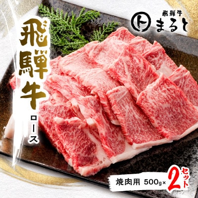 【飛騨牛A4等級以上】特選ロース(焼肉用)500g×2【配送不可地域：離島】