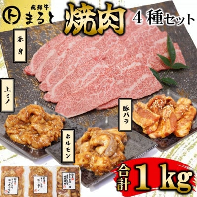 【飛騨牛】焼肉4種B-1セット　赤身肉と味付けホルモンなど　合計1kg【配送不可地域：離島】