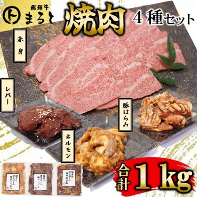 【飛騨牛】焼肉4種B-2セット　赤身肉と味付けホルモンなど　合計1kg【配送不可地域：離島】