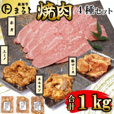 【飛騨牛】焼肉4種B-3セット　赤身肉と味付けホルモンなど　合計1kg【配送不可地域：離島】