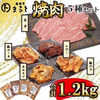 【飛騨牛】焼肉5種セット　赤身焼肉＆味付け牛ホルモンなど　合計1.2kg【配送不可地域：離島】