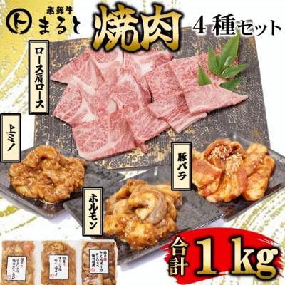 【飛騨牛】焼肉4種セット　ロース・肩ロースと味付けホルモンなど　合計1kg【配送不可地域：離島】